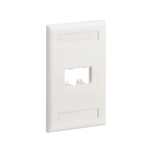 Placa de Pared Vertical Clásica, Salida Para 2 Puertos Mini-Com, Con Espacios Para Etiquetas, Color Blanco Mate